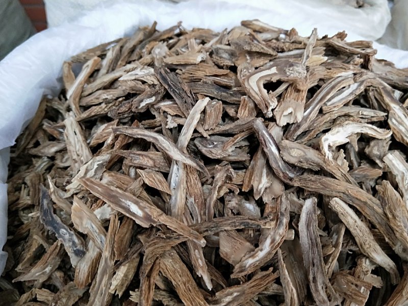 百部为多年生草本，地下簇生纺锤状肉质块根，茎上部攀援