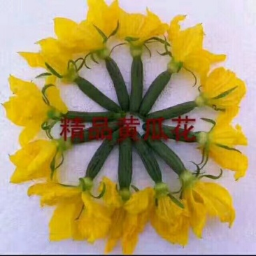黄瓜花，
