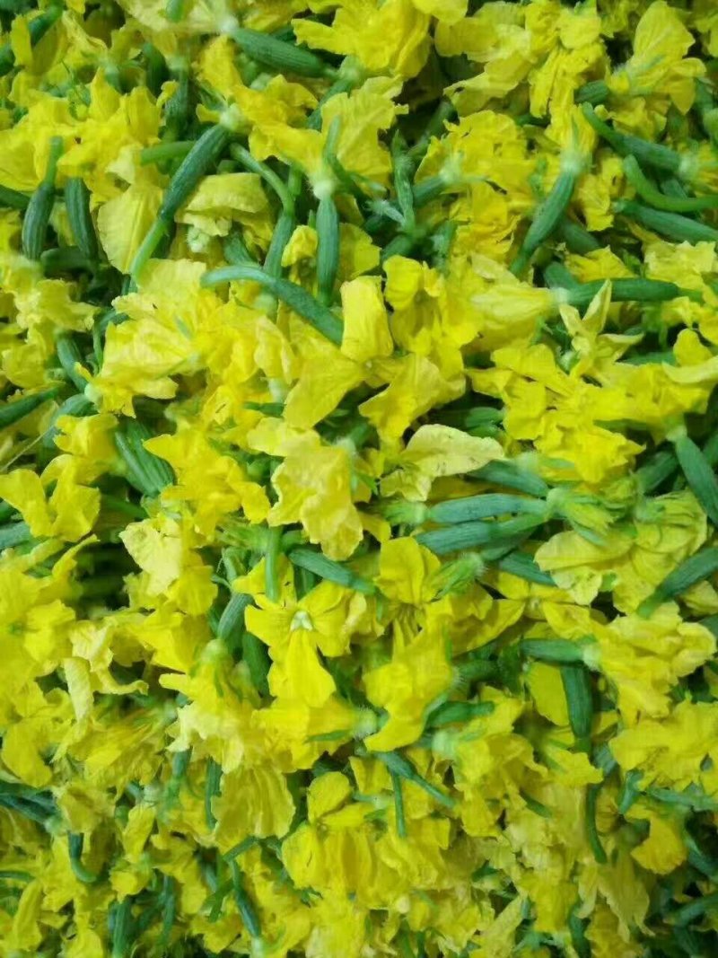 黄瓜花，