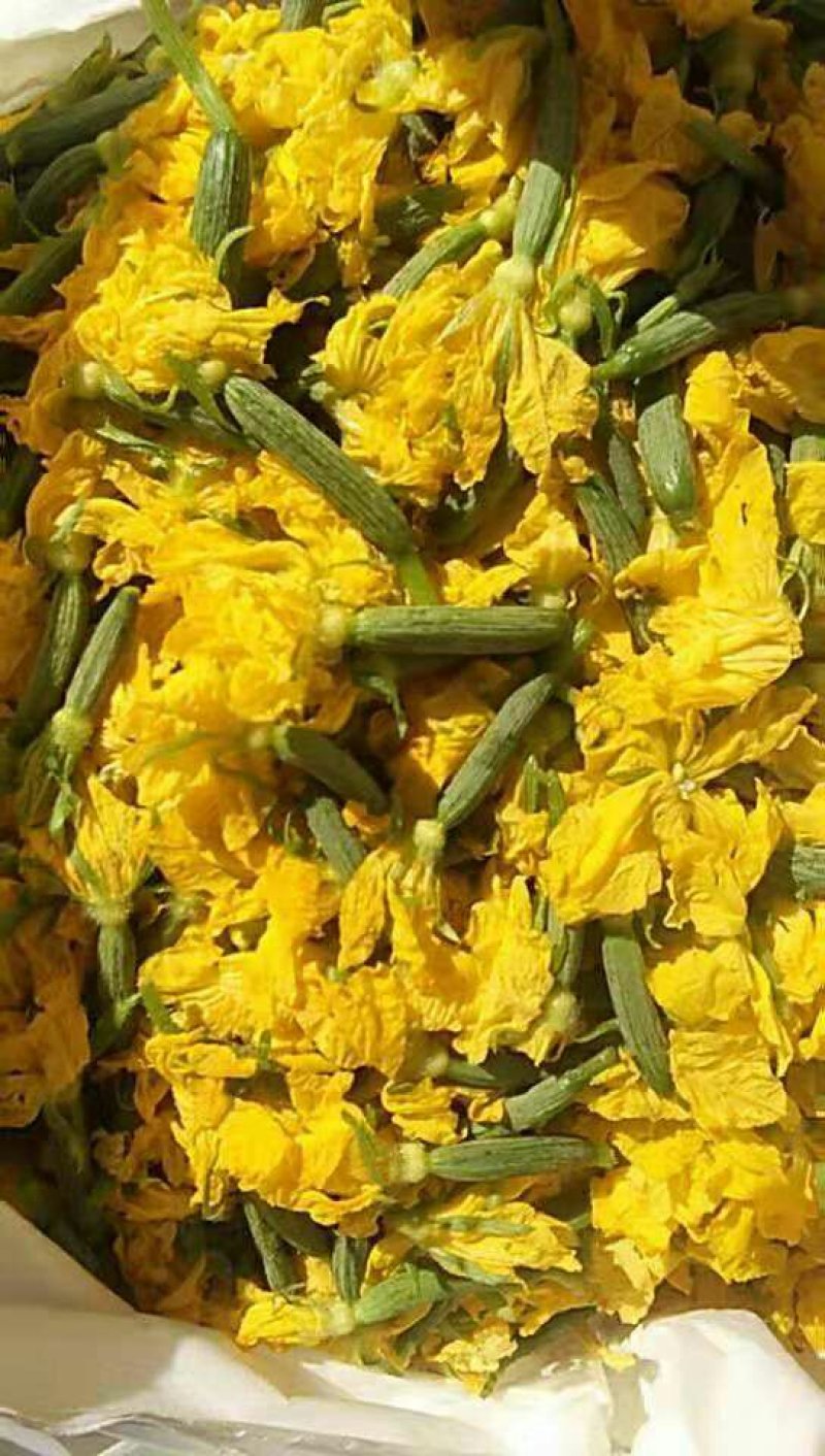 黄瓜花，