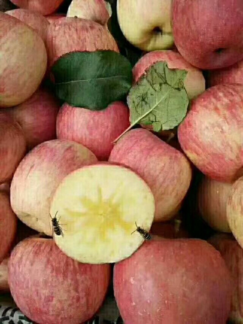 蜂糖心苹果