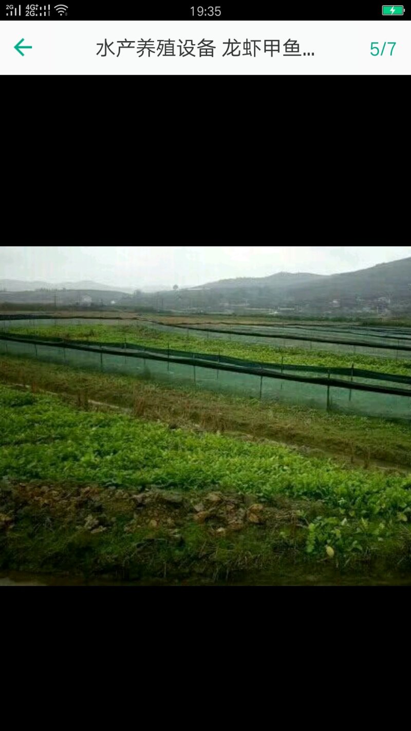 小龙虾防逃网，青蛙，螃蟹，甲鱼，牛蛙防逃网