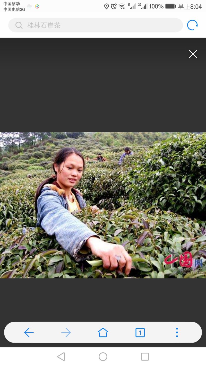 老少皆宜，清热解毒，中老年人更适合，降压减脂