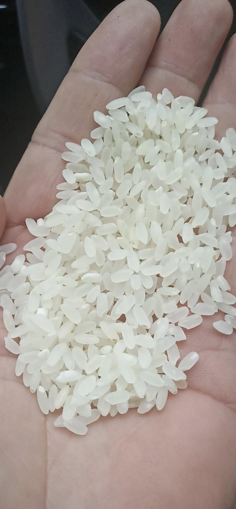 大米