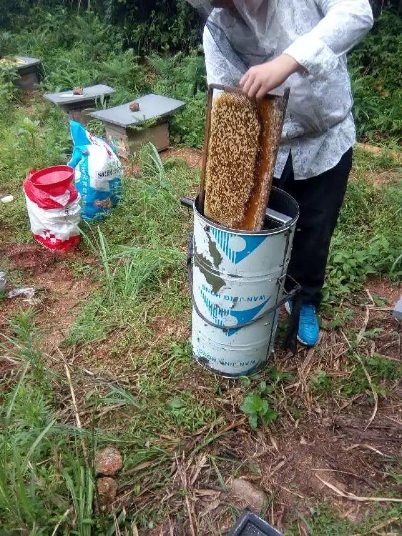 2018年采割摇蜂蜜第二次夏季土蜂蜜