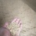 黄花粘优质稻谷