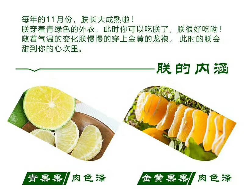 皇帝柑广西新鲜水果柑橘贡柑产地果园直销批发供应