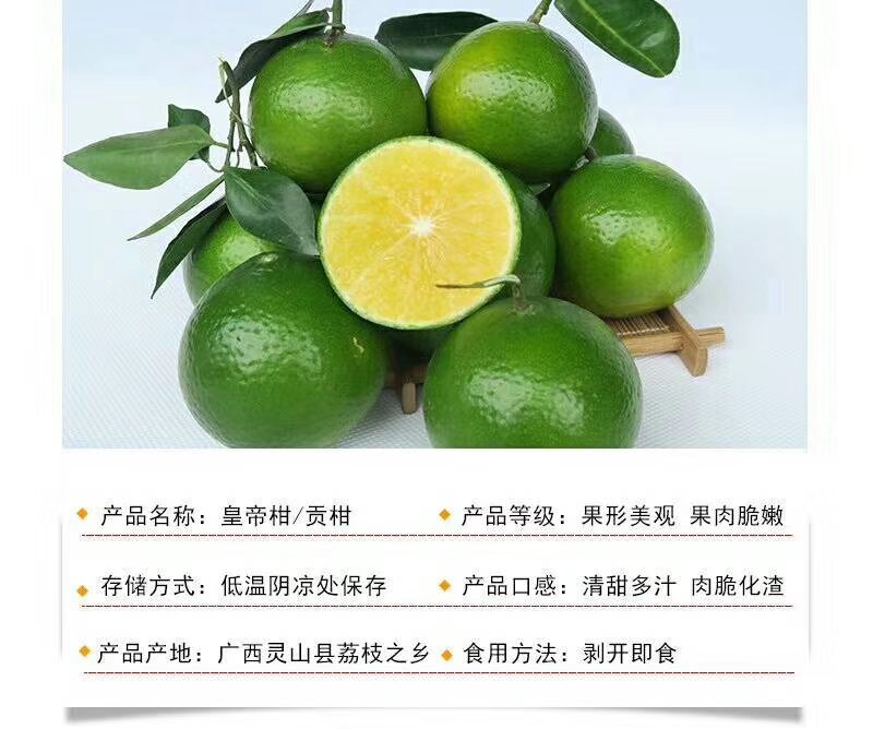 皇帝柑广西新鲜水果柑橘贡柑产地果园直销批发供应