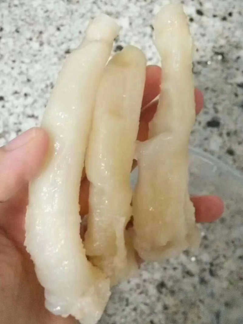 黄花胶筒，80头左右一斤包邮