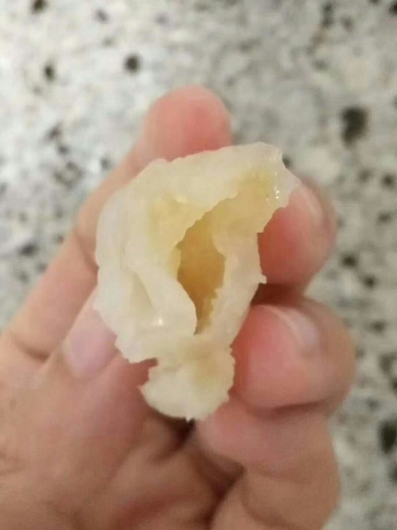 黄花胶筒，80头左右一斤包邮