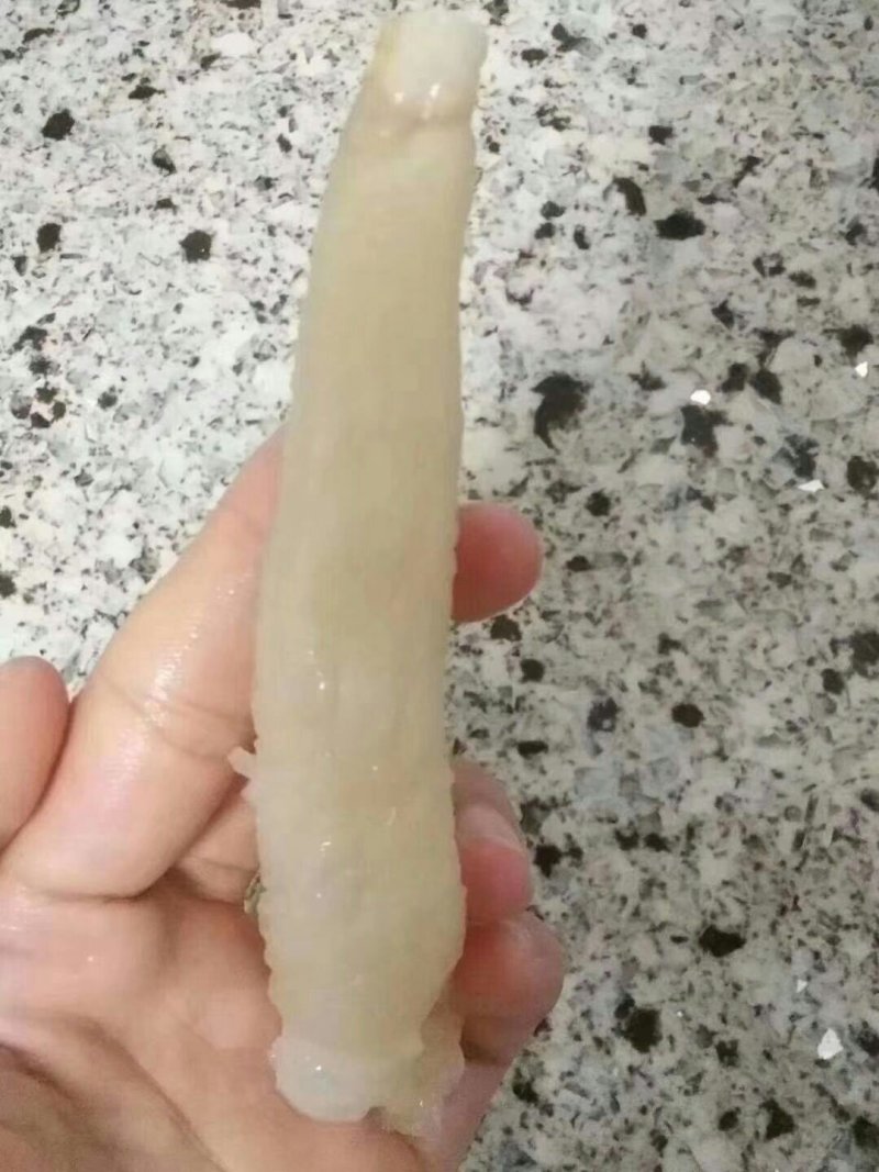 黄花胶筒，80头左右一斤包邮