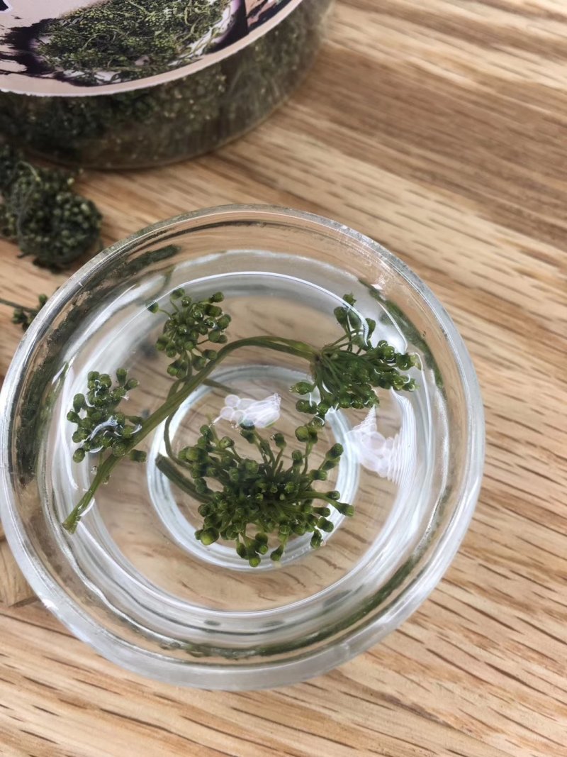 东北特产人参花长白山人参花人参花蕾六年大花批发h