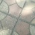 大量供应橡子