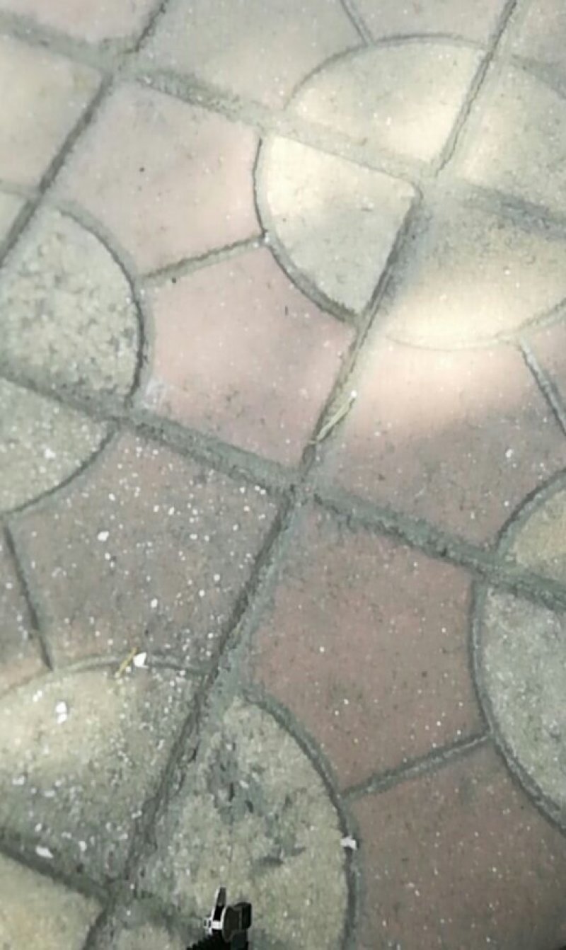 大量供应橡子