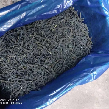 新货脱水四季豆厂家一手货源(烘干)颜色亮
