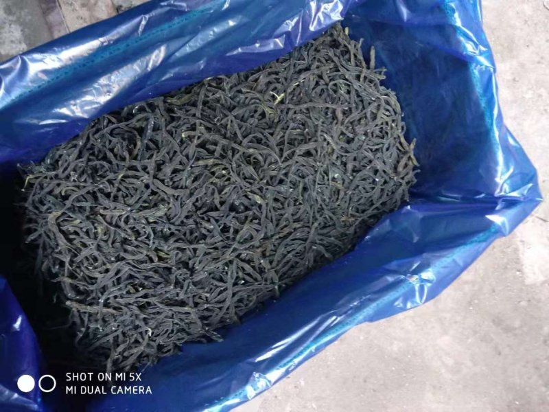 新货脱水四季豆厂家一手货源(烘干)颜色亮