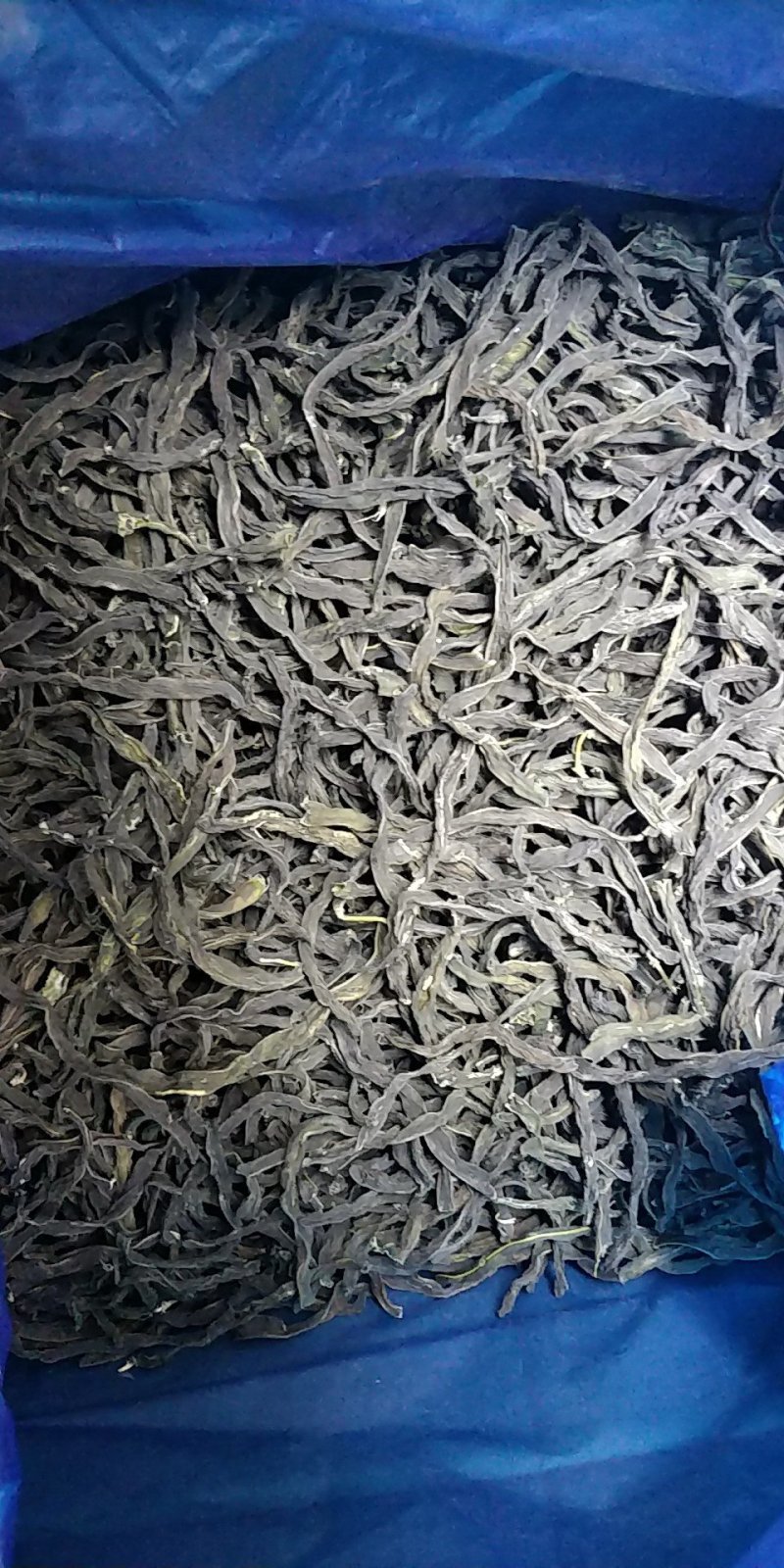 新货脱水四季豆厂家一手货源(烘干)颜色亮