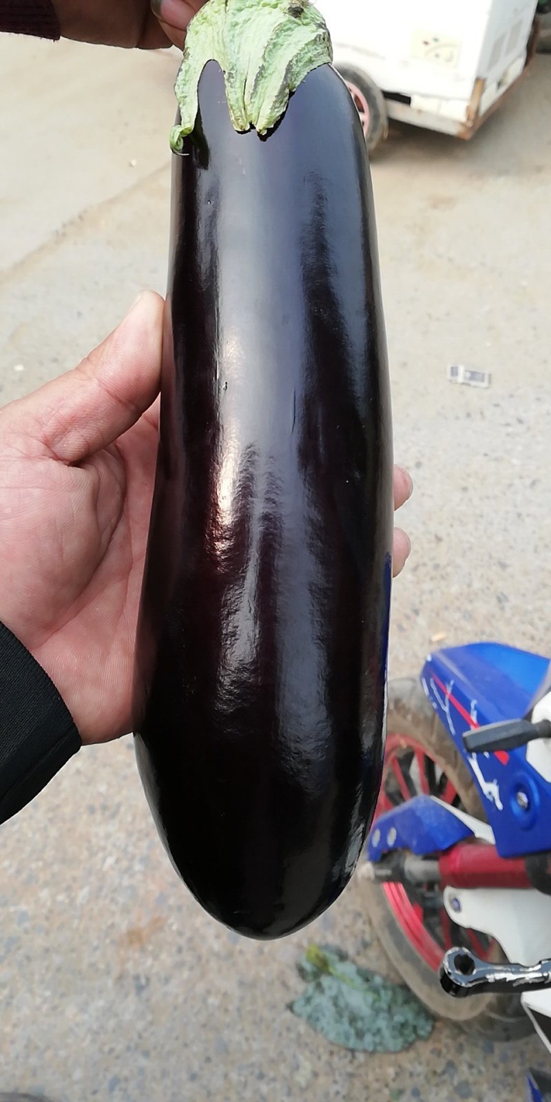 茄子