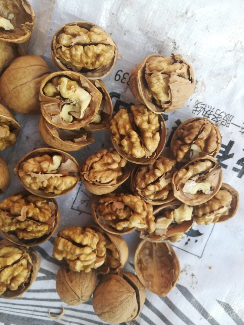 纸皮核桃