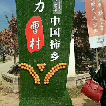 富平优质柿饼，开始预订中