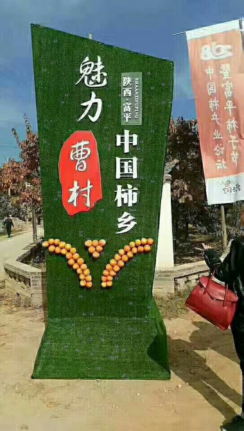 富平优质柿饼，开始预订中
