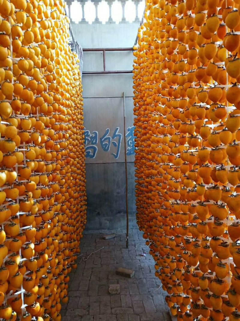 富平优质柿饼，开始预订中