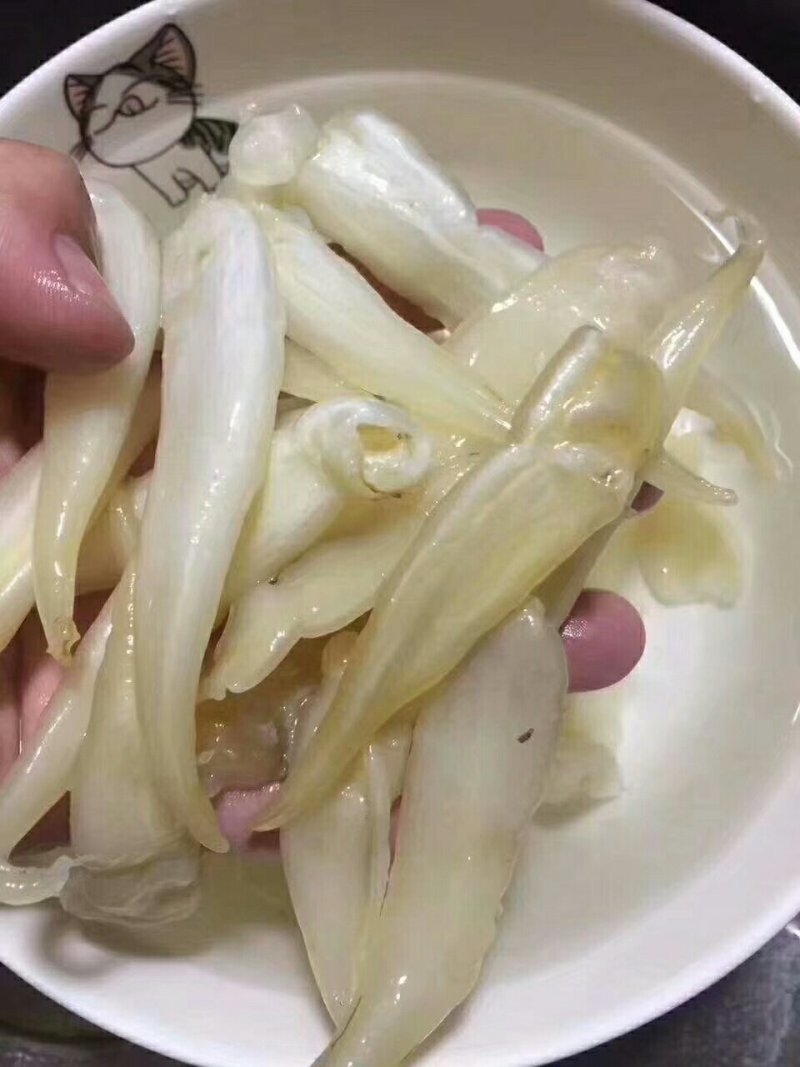 小尖尾