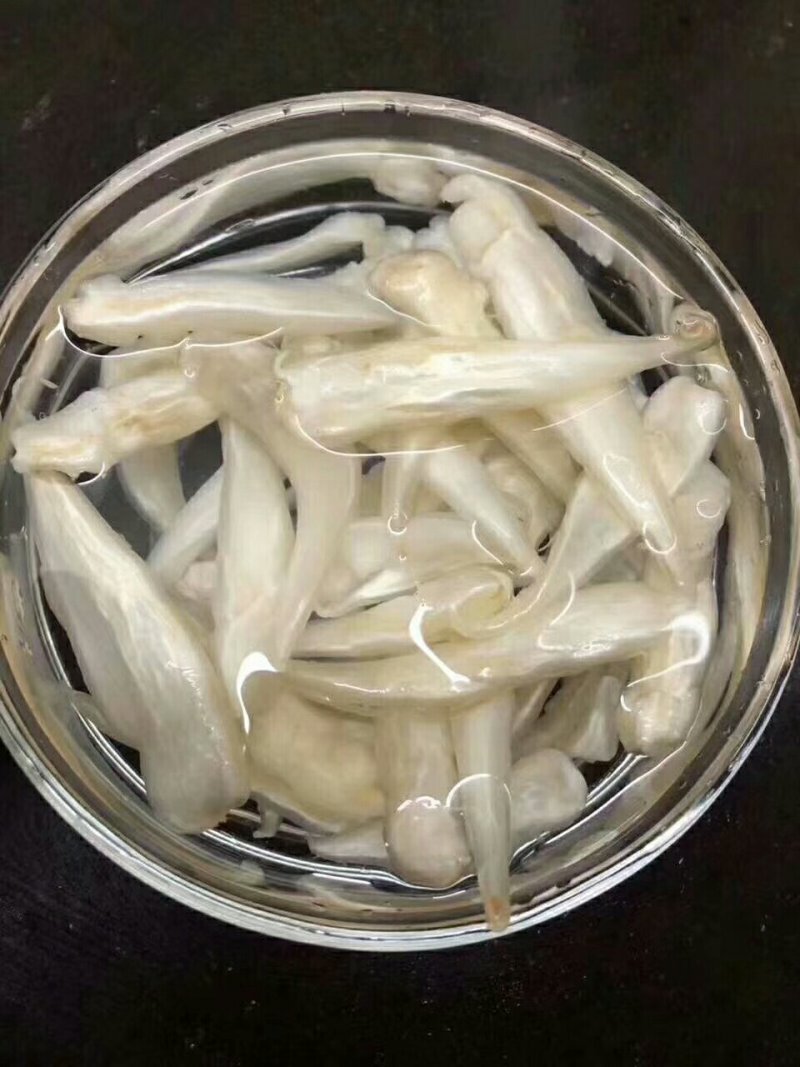 小尖尾