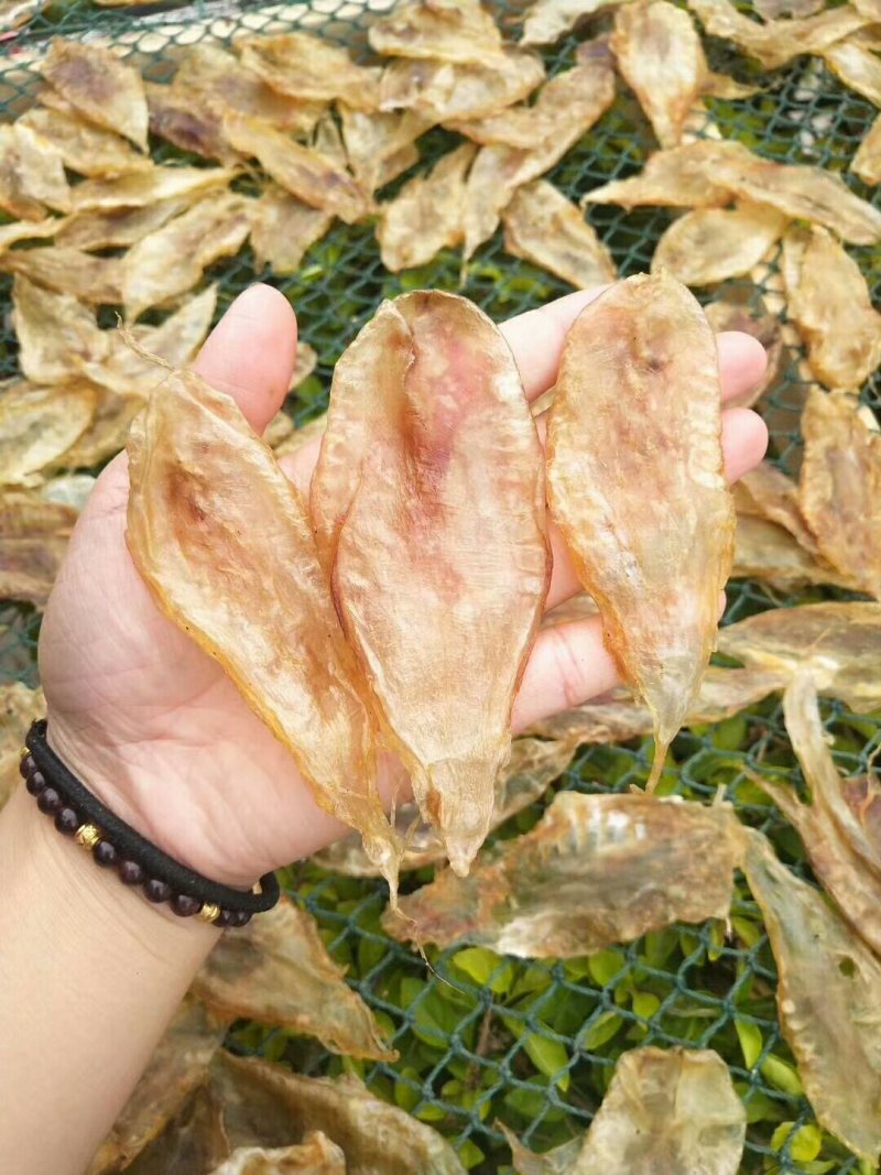 黄花胶，110头，一斤包邮
