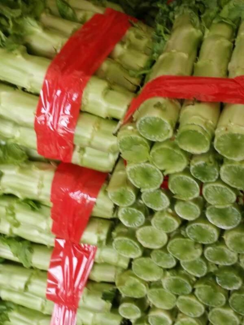 山东省沂南县，优质莴苣大量上市，物美价廉