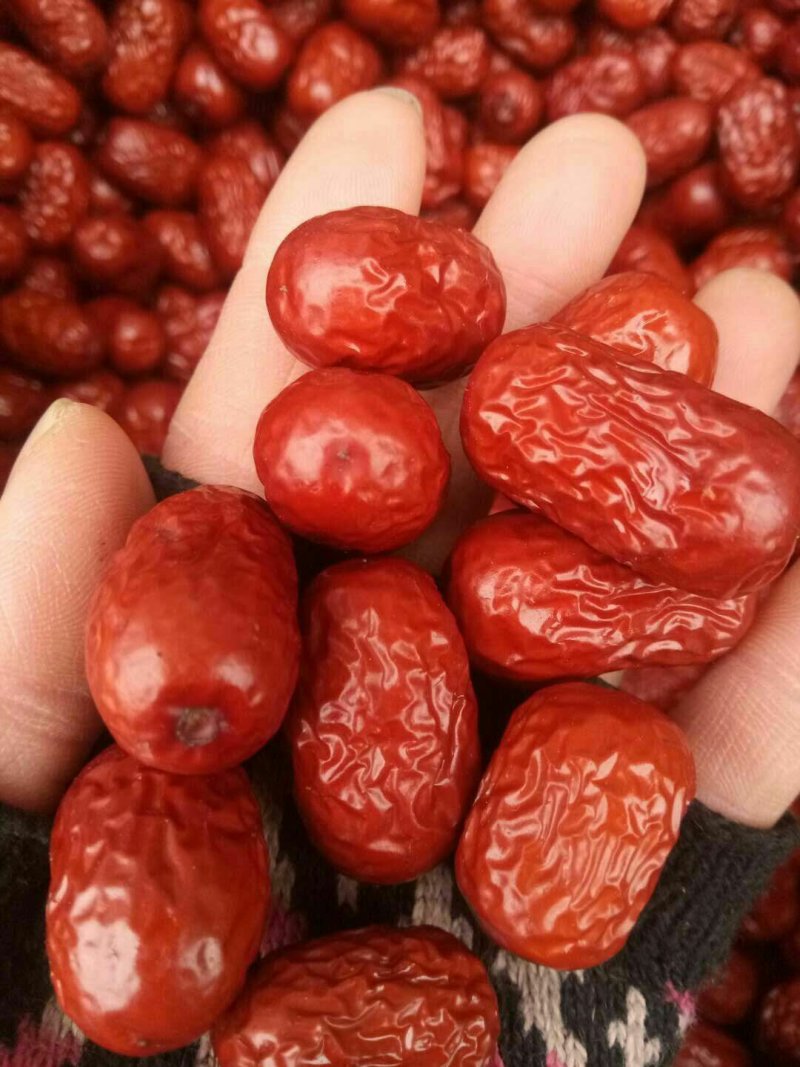 灰枣一级