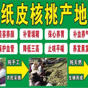 云南大麻子纸皮核桃