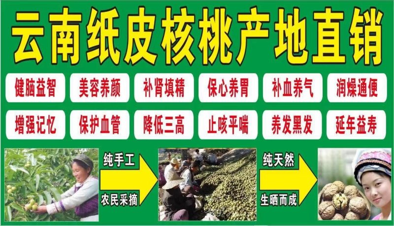 云南大麻子纸皮核桃