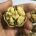 云南大麻子纸皮核桃