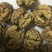 云南大麻子纸皮核桃
