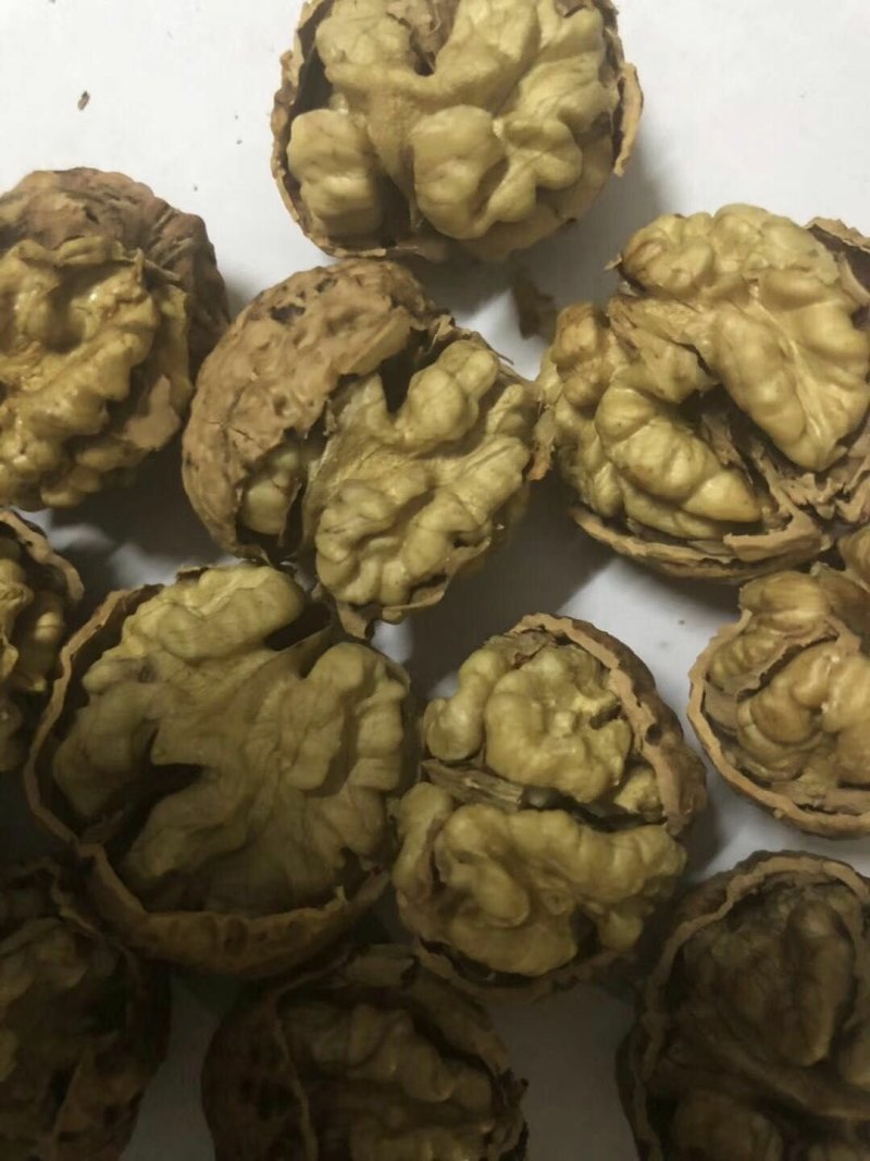 云南大麻子纸皮核桃