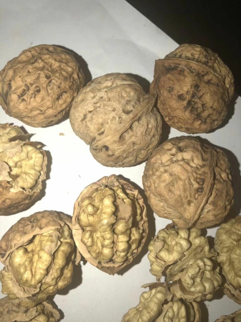 云南大麻子纸皮核桃