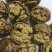 云南大麻子纸皮核桃