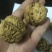 云南大麻子纸皮核桃