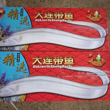 大连精品带鱼