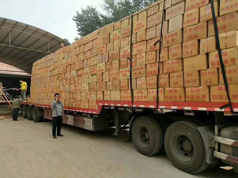 电商拼多多社区团购大卖若羌红枣袋装日供货量10万袋