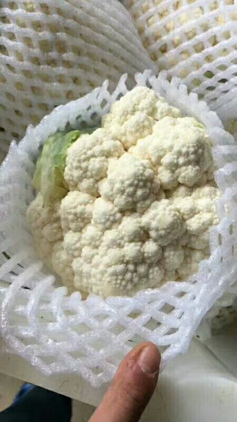 菜花