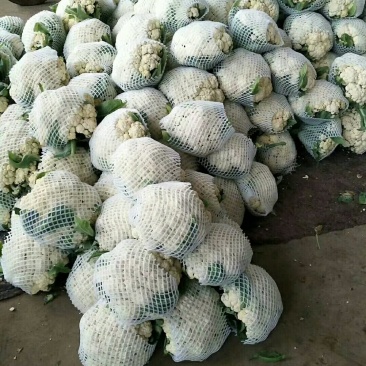 菜花