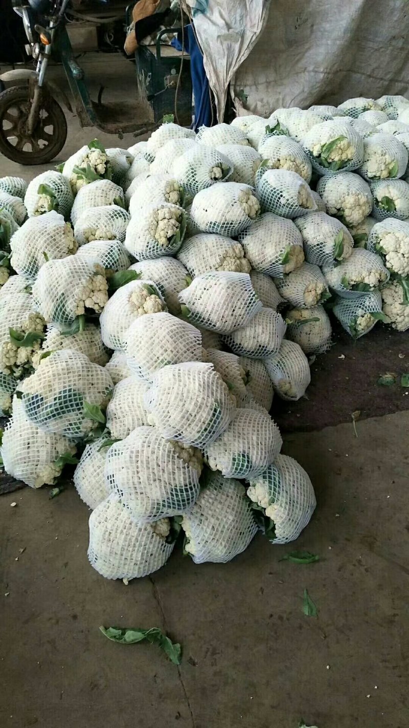 菜花