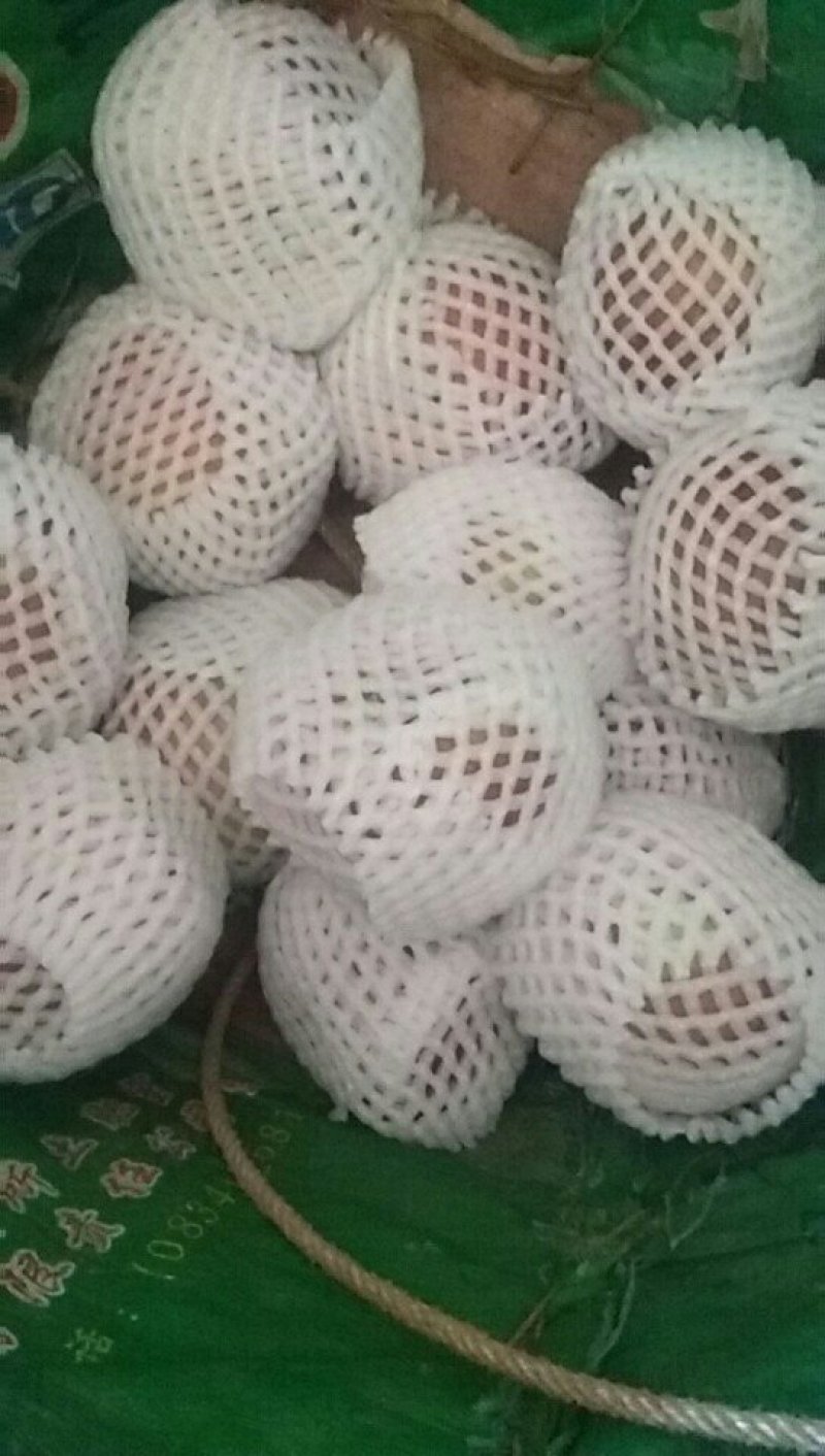 盐源糖心苹果