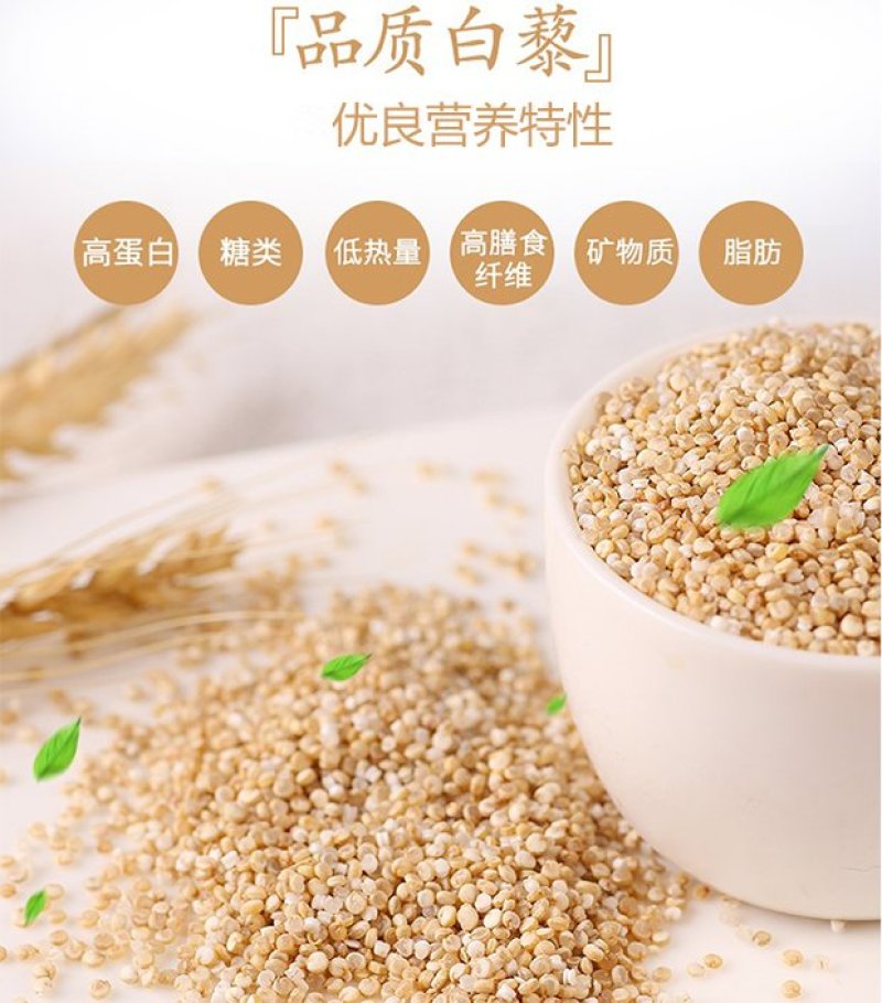 藜麦面粉熟粉炒粉代餐粉冲泡即食20公斤
