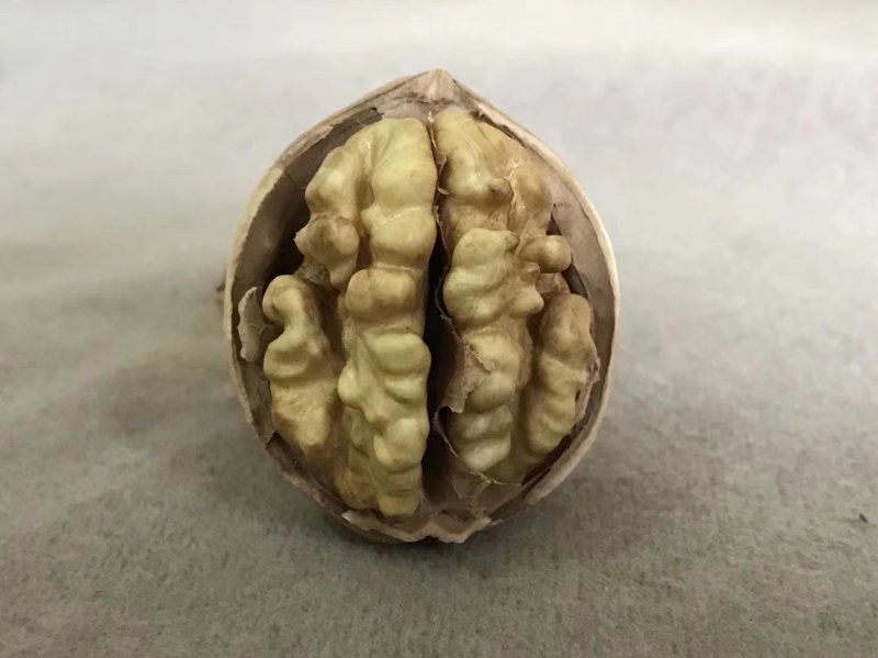 185纸皮核桃，阿克苏本地发货，人工挑选，物美廉价值后买