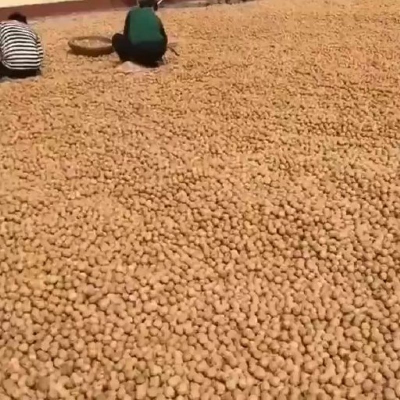 185纸皮核桃，阿克苏本地发货，人工挑选，物美廉价值后买