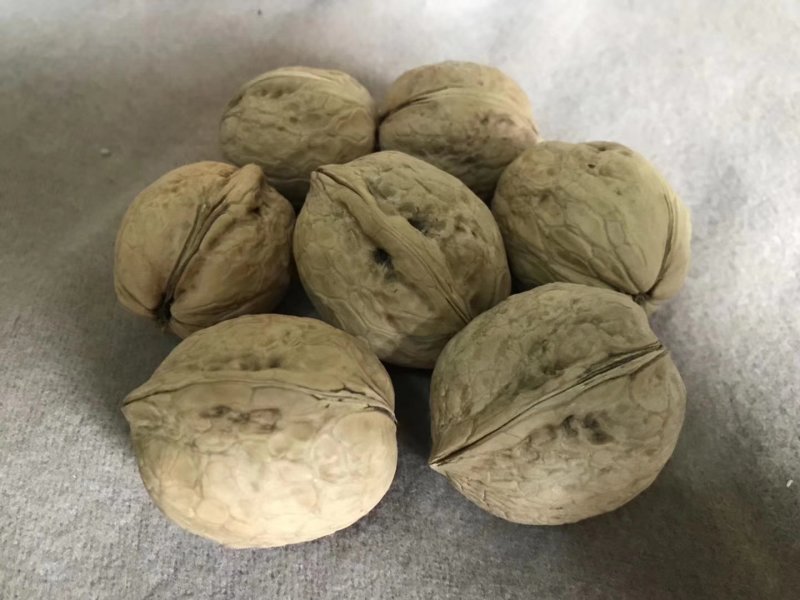 185纸皮核桃，阿克苏本地发货，人工挑选，物美廉价值后买