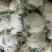 山东省聊城市莘县白面青梗松花菜直供2~3斤散花乳白